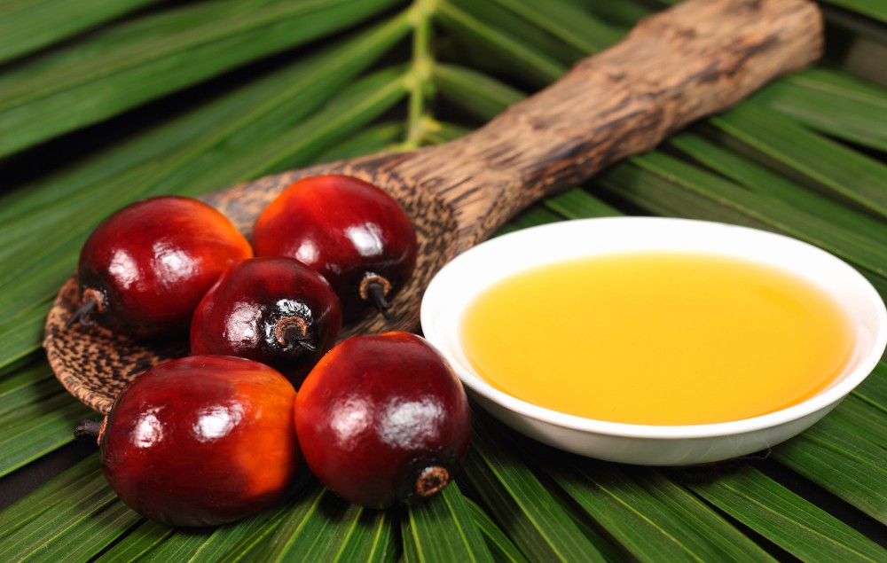 Knowledge Corner: Everything you need to know about sustainable palm oil